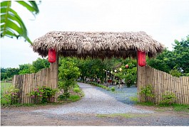 Đan Phượng phát triển du lịch nông nghiệp, nông thôn